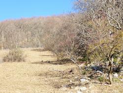 Click to see big picture (1024x768 pixels; 241 KB)