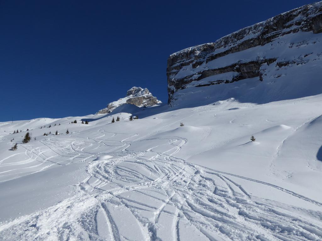 {Clic pour voir plus grand}