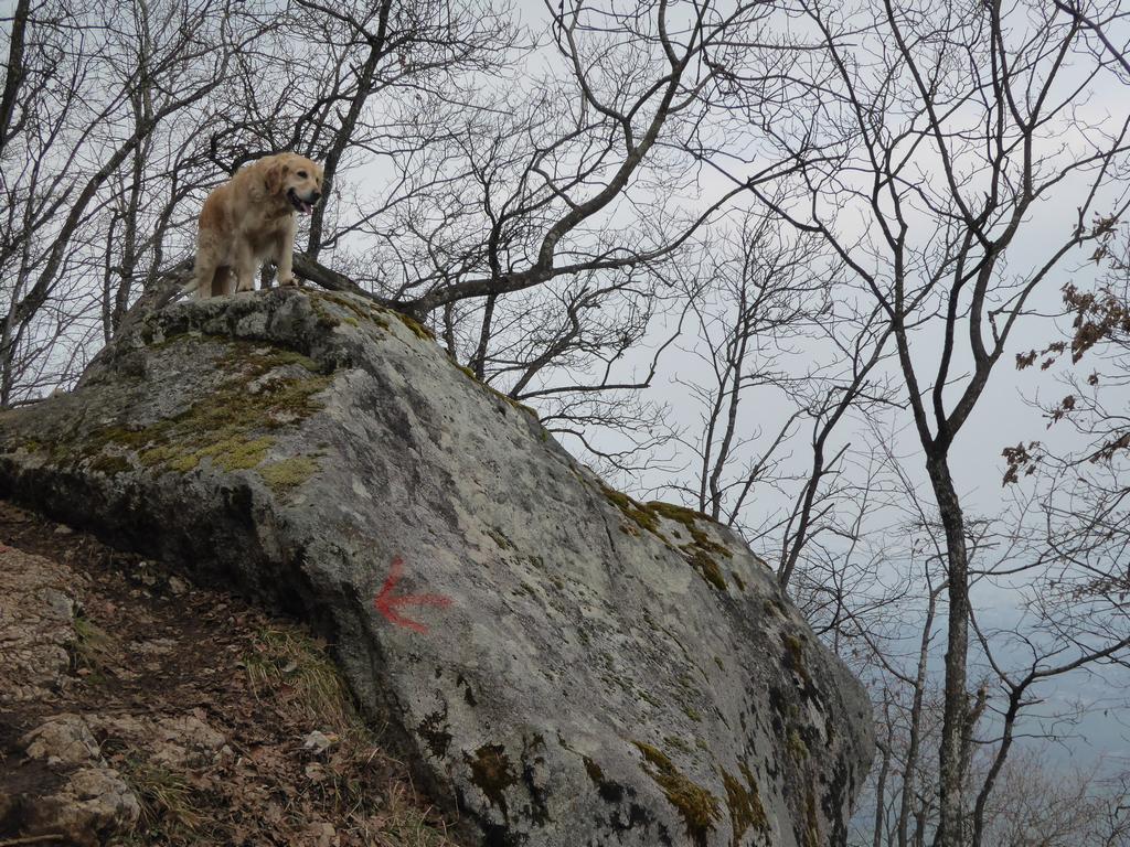 {Clic pour voir plus grand}