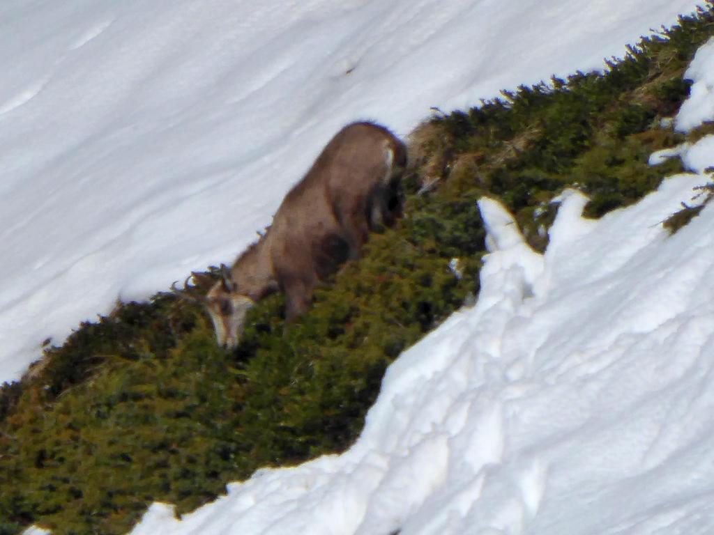 {Clic pour voir plus grand}