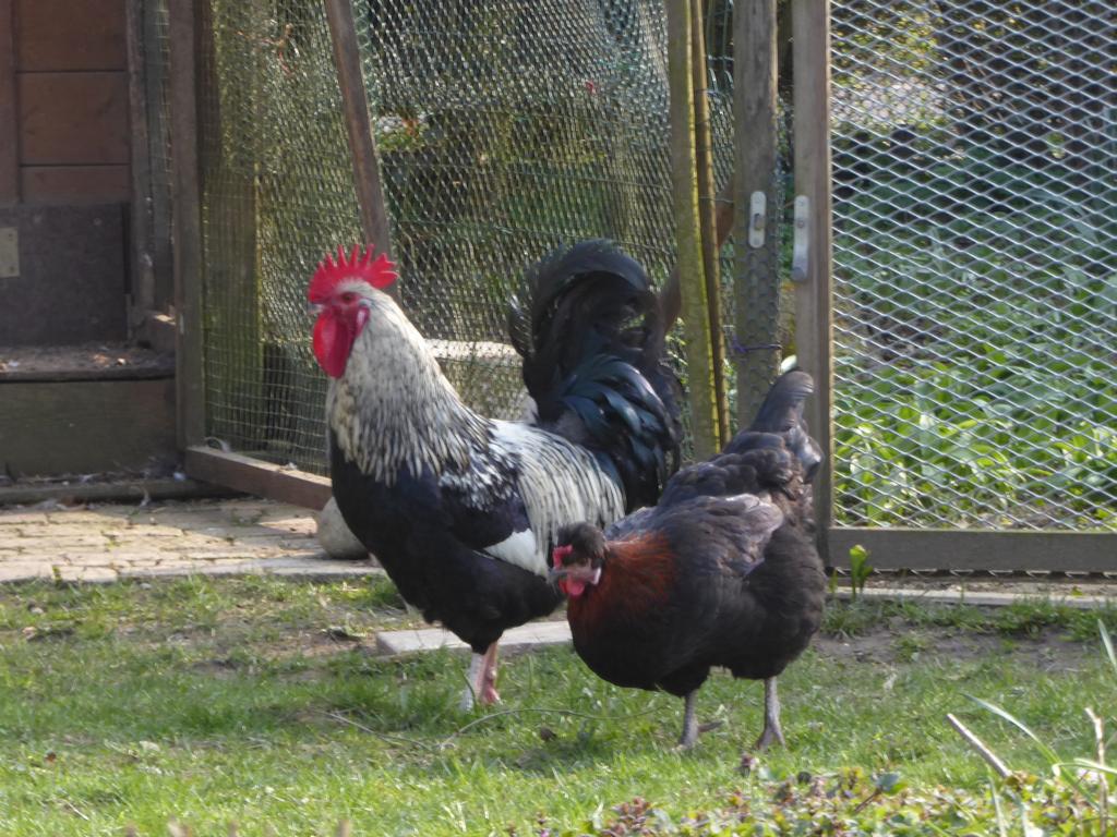 {Clic pour voir plus grand}