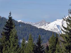 Click to see big picture (1024x768 pixels; 125 KB)