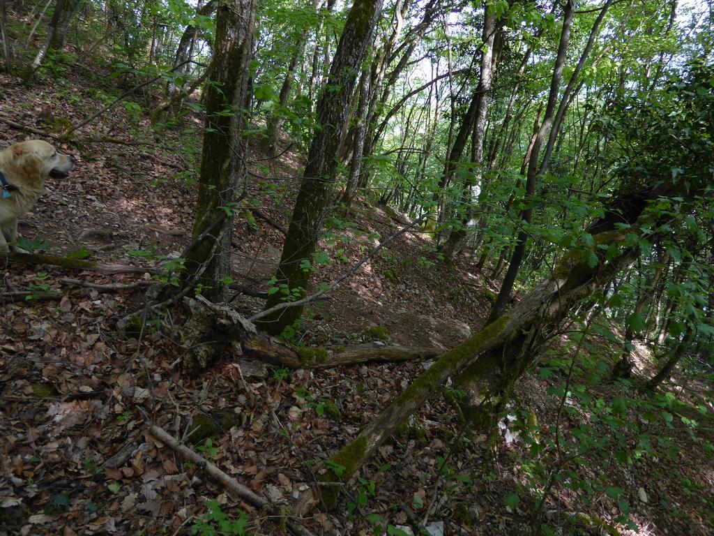 {Clic pour voir plus grand}