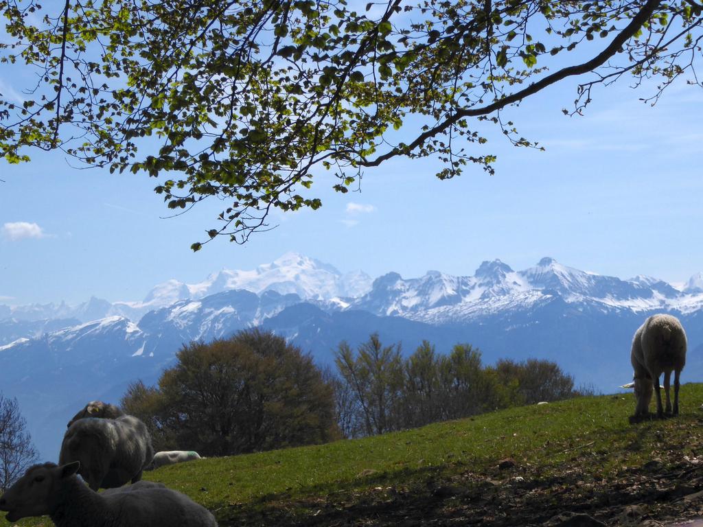 {Clic pour voir plus grand}