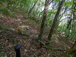 Click to see big picture (1024x768 pixels; 243 KB)