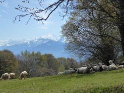 Click to see big picture (1024x768 pixels; 184 KB)