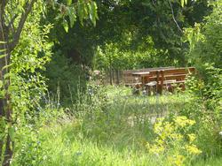 Click to see big picture (1024x768 pixels; 237 KB)