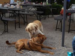 Click to see big picture (1024x768 pixels; 160 KB)