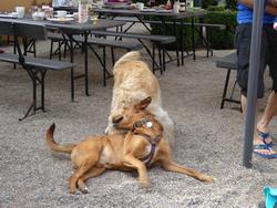 Click to see big picture (1024x768 pixels; 192 KB)