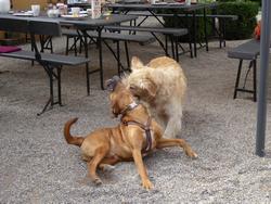 Click to see big picture (1024x768 pixels; 192 KB)