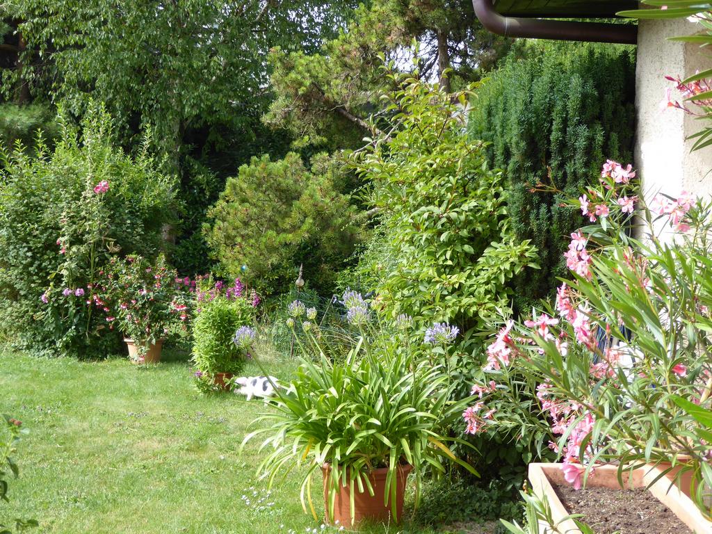 {Clic pour voir plus grand}