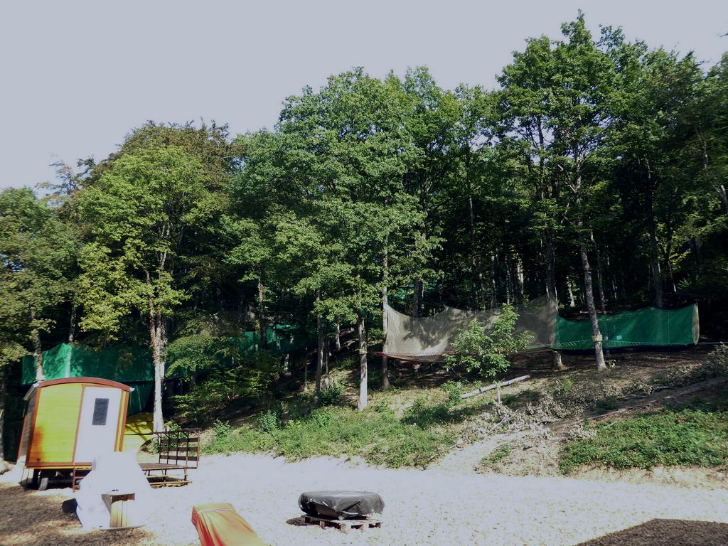 {Clic pour voir plus grand}