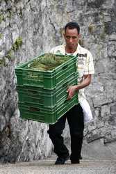 Pour agrandir l'image (512x768 pixels; 117 KB)