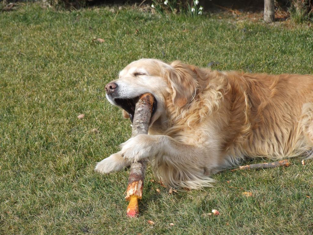 clic ici pour suivante