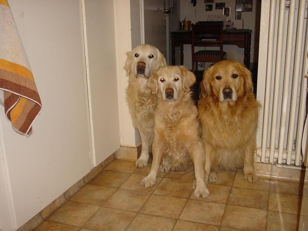 clic ici pour suivante