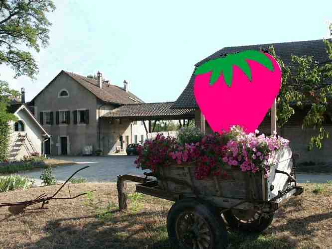 Click to see next picture