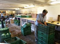 Click to see big picture (675x500 pixels; 88 KB)