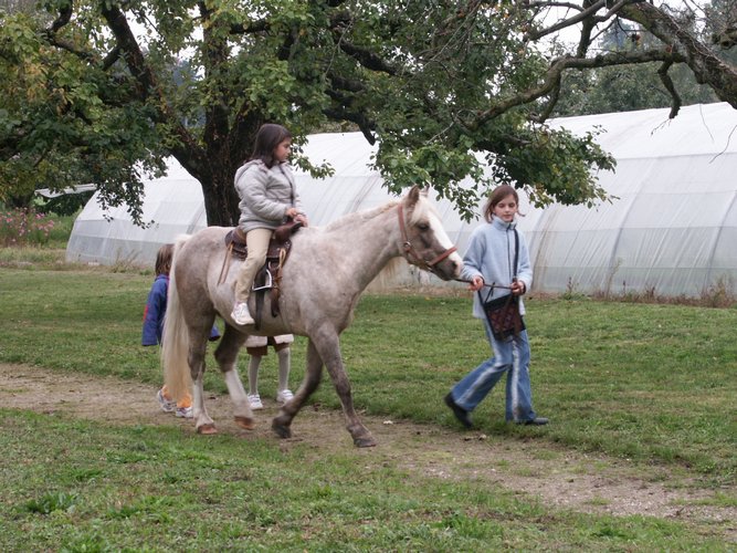 Click to see next picture