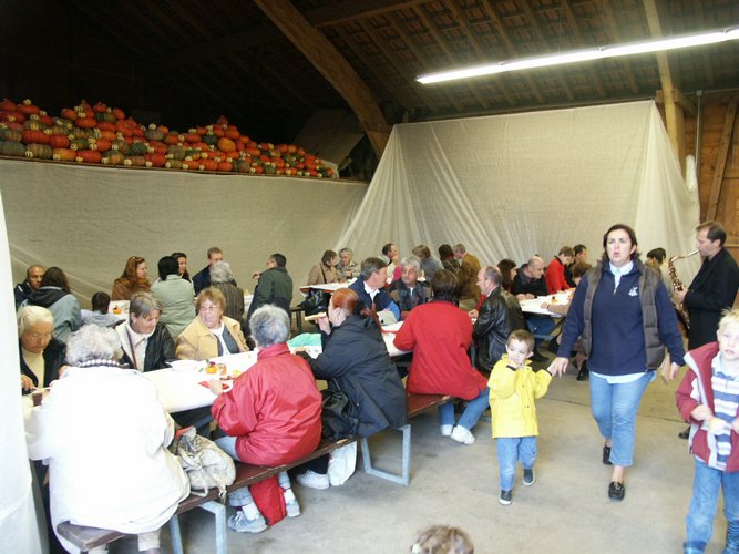 Click to see next picture