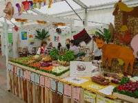 1798.JPG (238175 bytes)