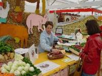 1799.JPG (233355 bytes)