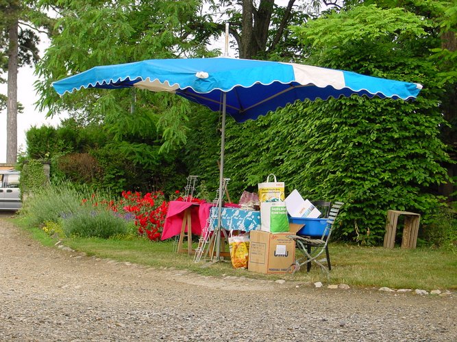 Click to see next picture