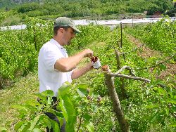 1978.jpg (620097 bytes)