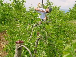 1980.jpg (593626 bytes)