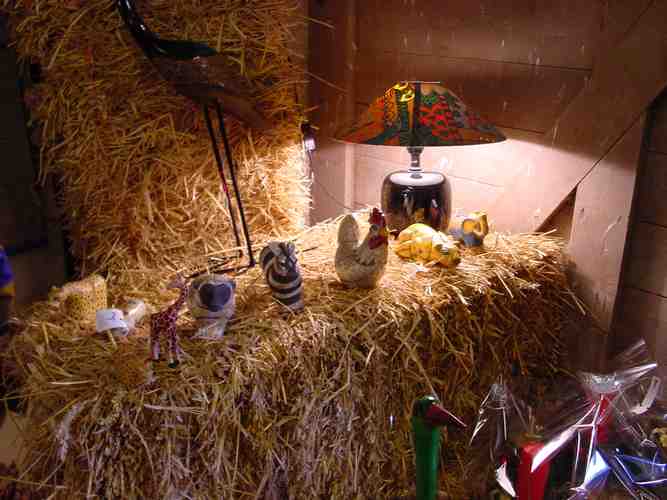 Click to see next picture