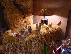 Click to see big picture (667x500 pixels; 37 KB)