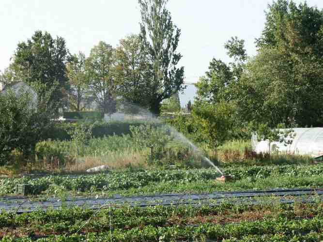 Click to see next picture