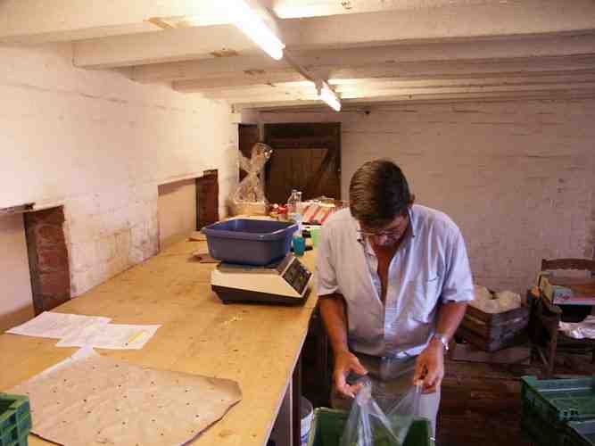 Click to see next picture