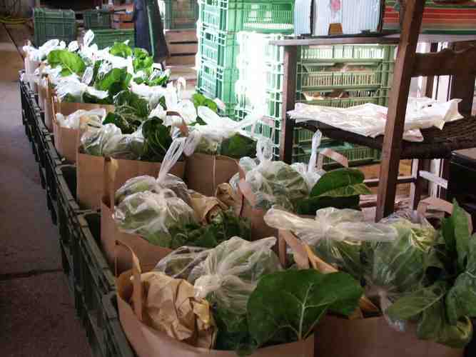 Click to see next picture