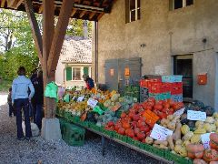 dsc01406.jpg (103751 bytes)