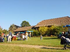 dsc01408.jpg (87229 bytes)