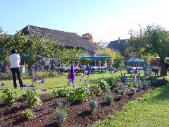 dsc01411.jpg (119314 bytes)