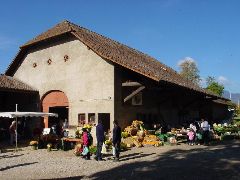 dsc01417.jpg (75640 bytes)