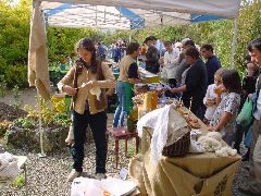 dsc01478.jpg (120819 bytes)