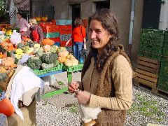 dsc01479.jpg (109586 bytes)