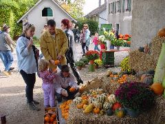 dsc01481.jpg (115995 bytes)