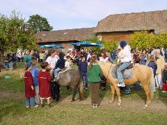 dsc01486.jpg (103980 bytes)