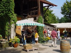 1339.jpg (97005 bytes)