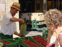 1214.jpg (76037 bytes)