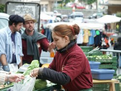 Click to see big picture (667x500 pixels; 83 KB)