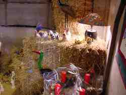 Click to see big picture (667x500 pixels; 35 KB)