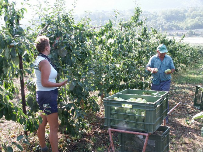 Click to see next picture