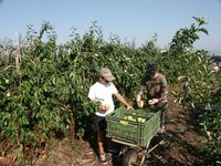 Click to see big picture (667x500 pixels; 139 KB)