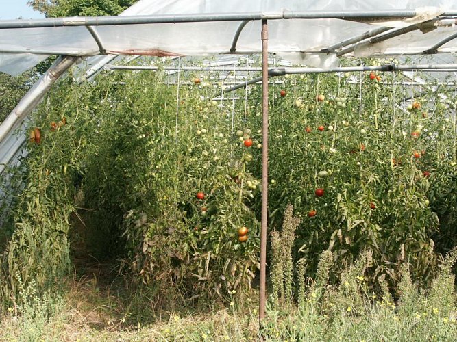 Click to see next picture