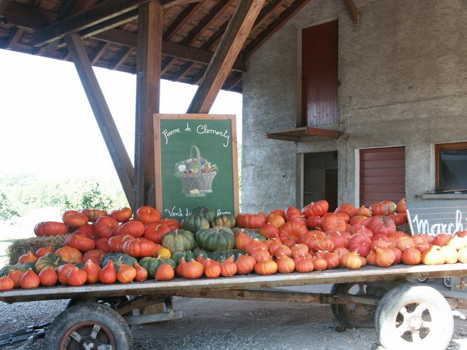 Click to see next picture