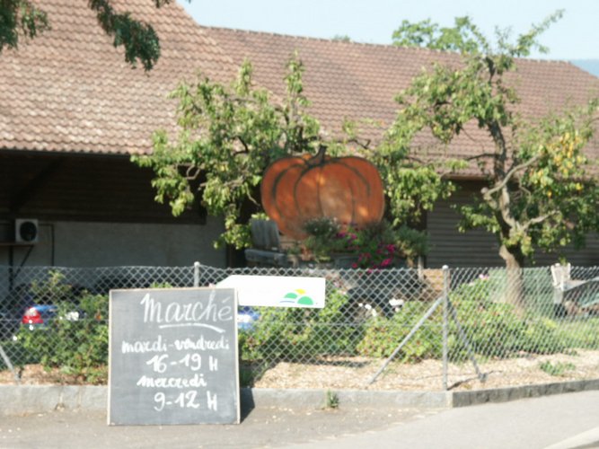 Click to see next picture